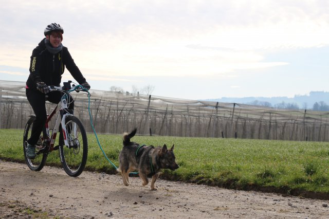 training 18-03 2018-04-02-10h24m07